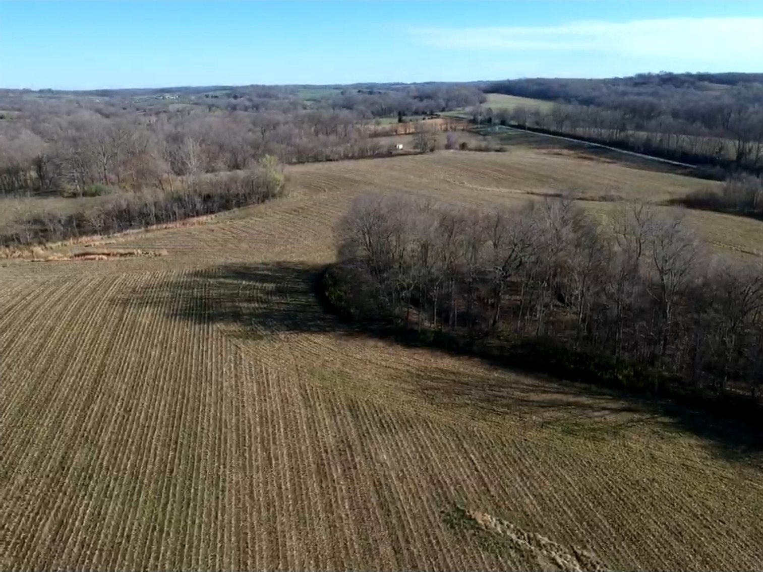 Image for The Wright Family Land Auction