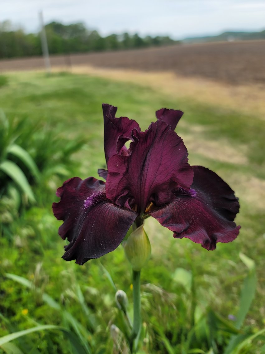Image for Bid Your Way to Country Living: Rockwood Home Ready for New Owner at Auction