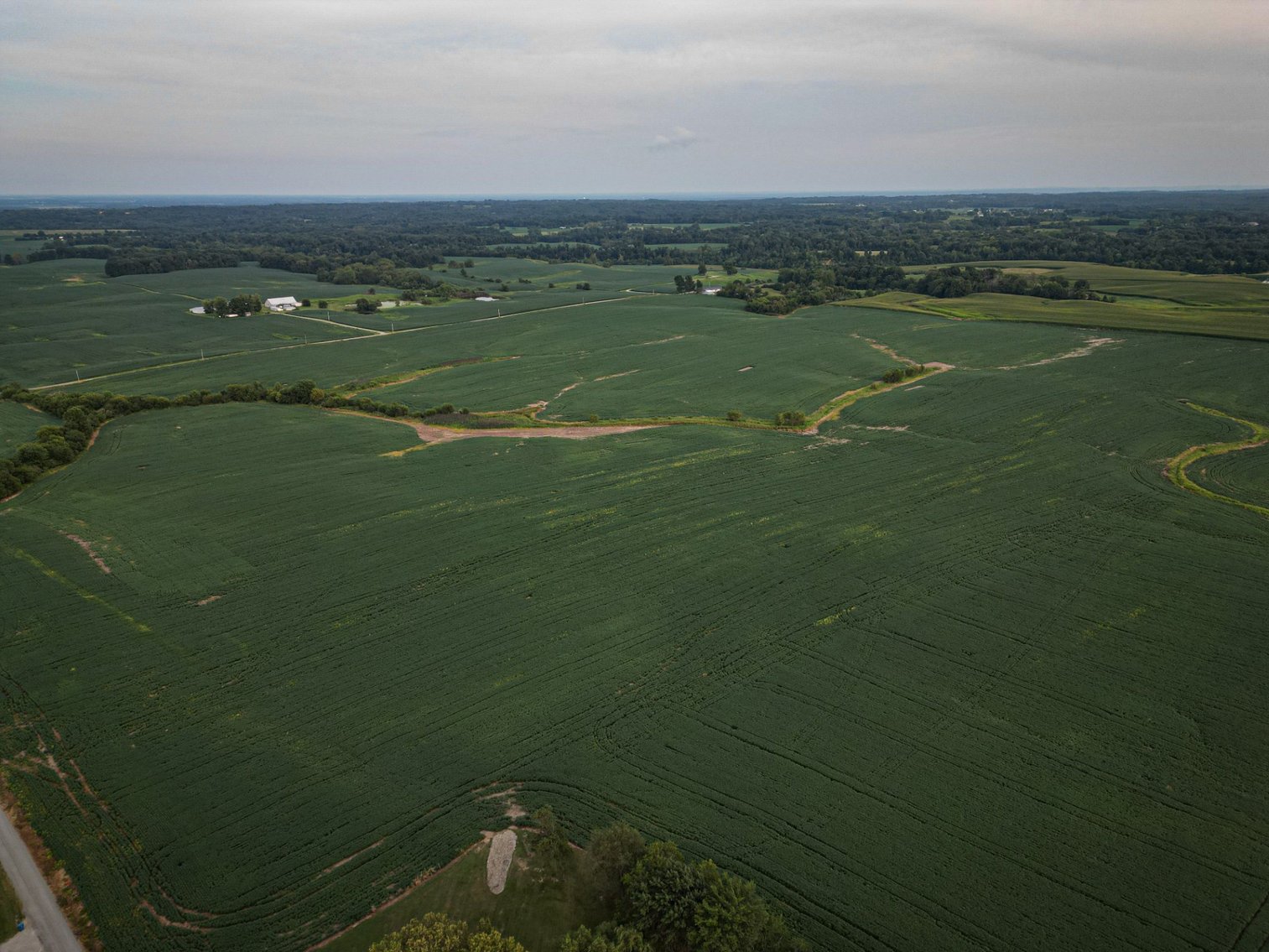 Image for Live & Online Land Auction Ava, IL