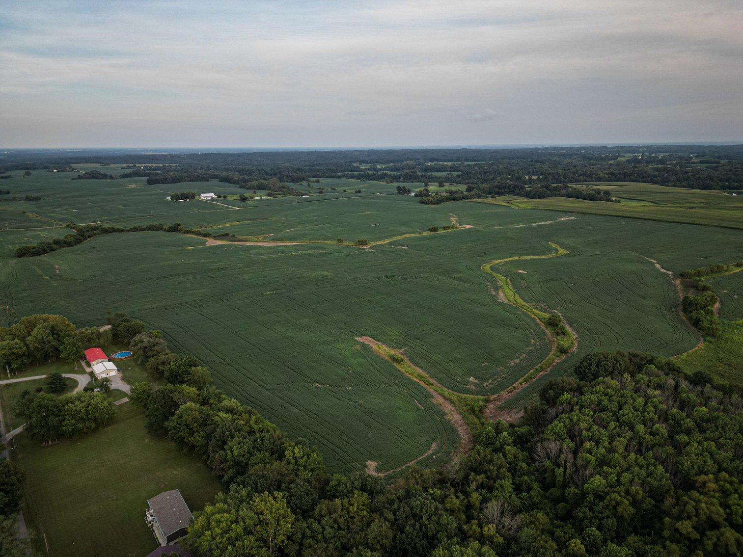 Image for Live & Online Land Auction Ava, IL