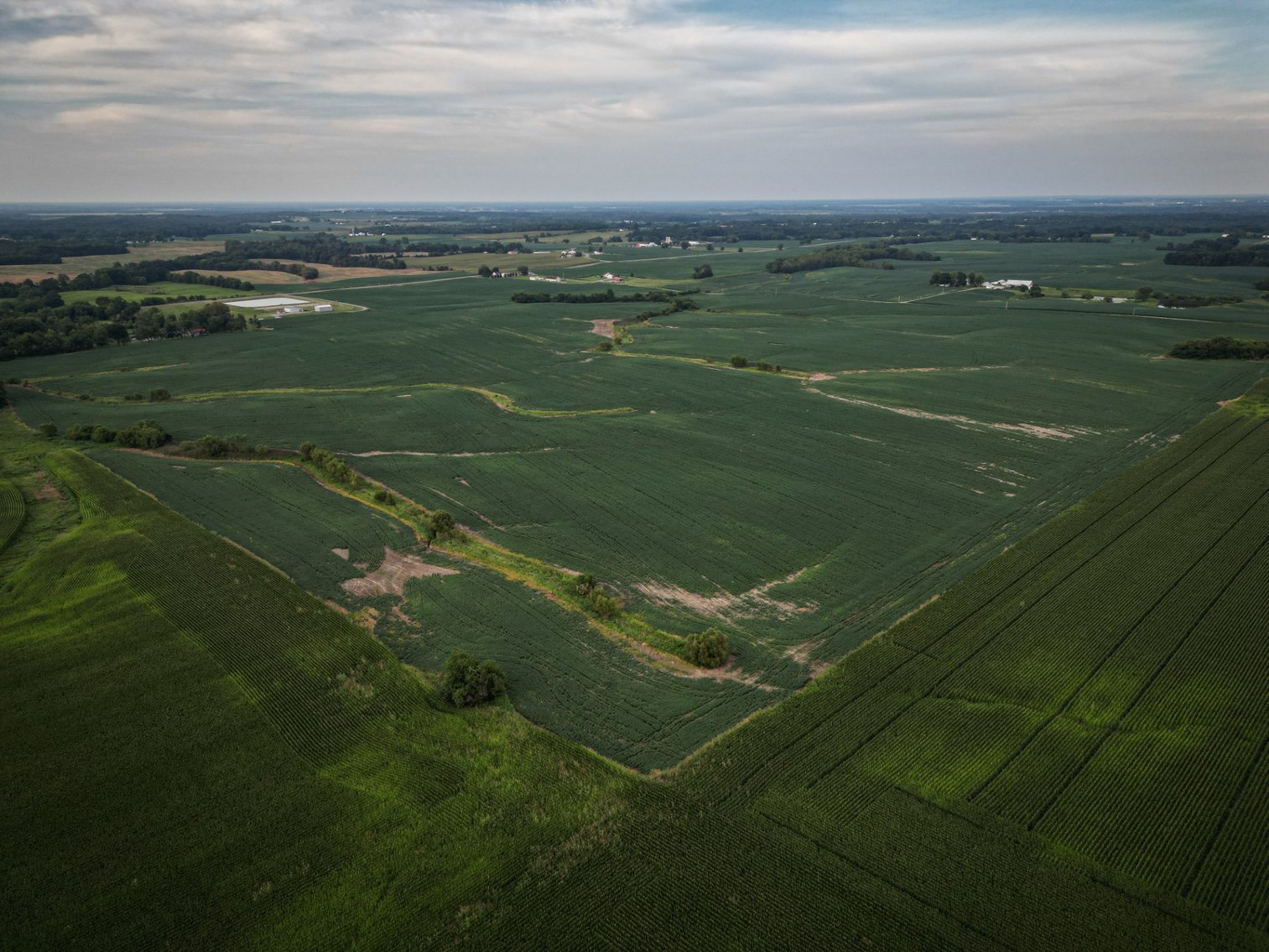 Image for Live & Online Land Auction Ava, IL