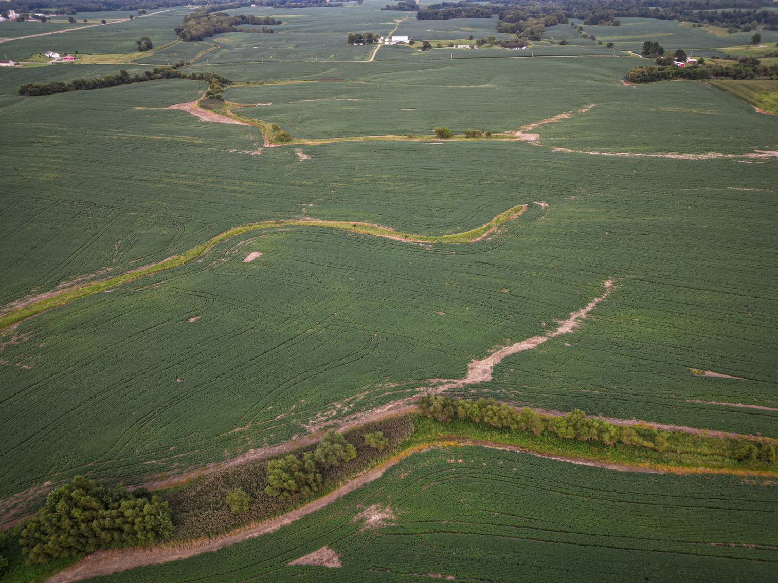 Image for Live & Online Land Auction Ava, IL