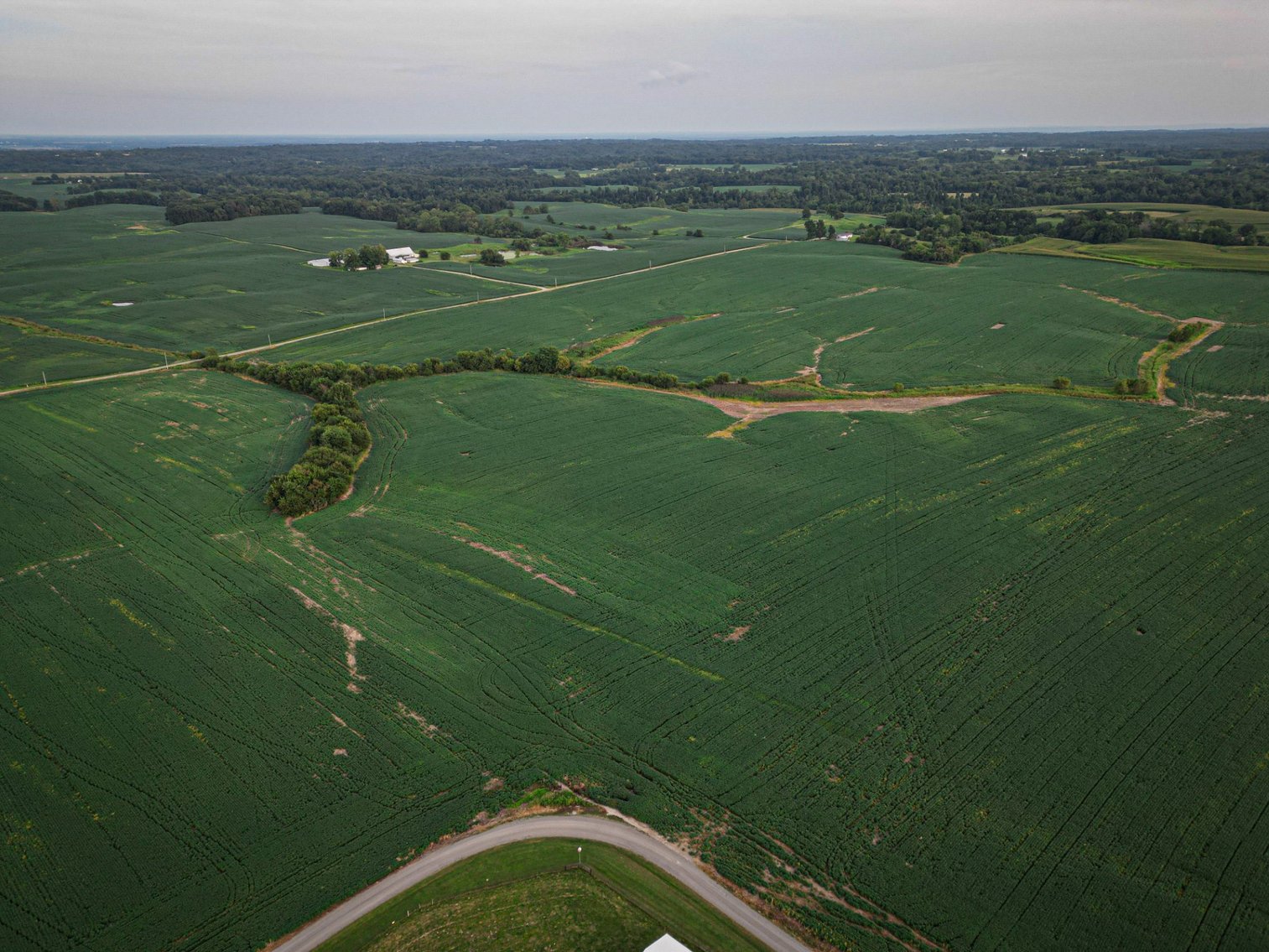 Image for Live & Online Land Auction Ava, IL