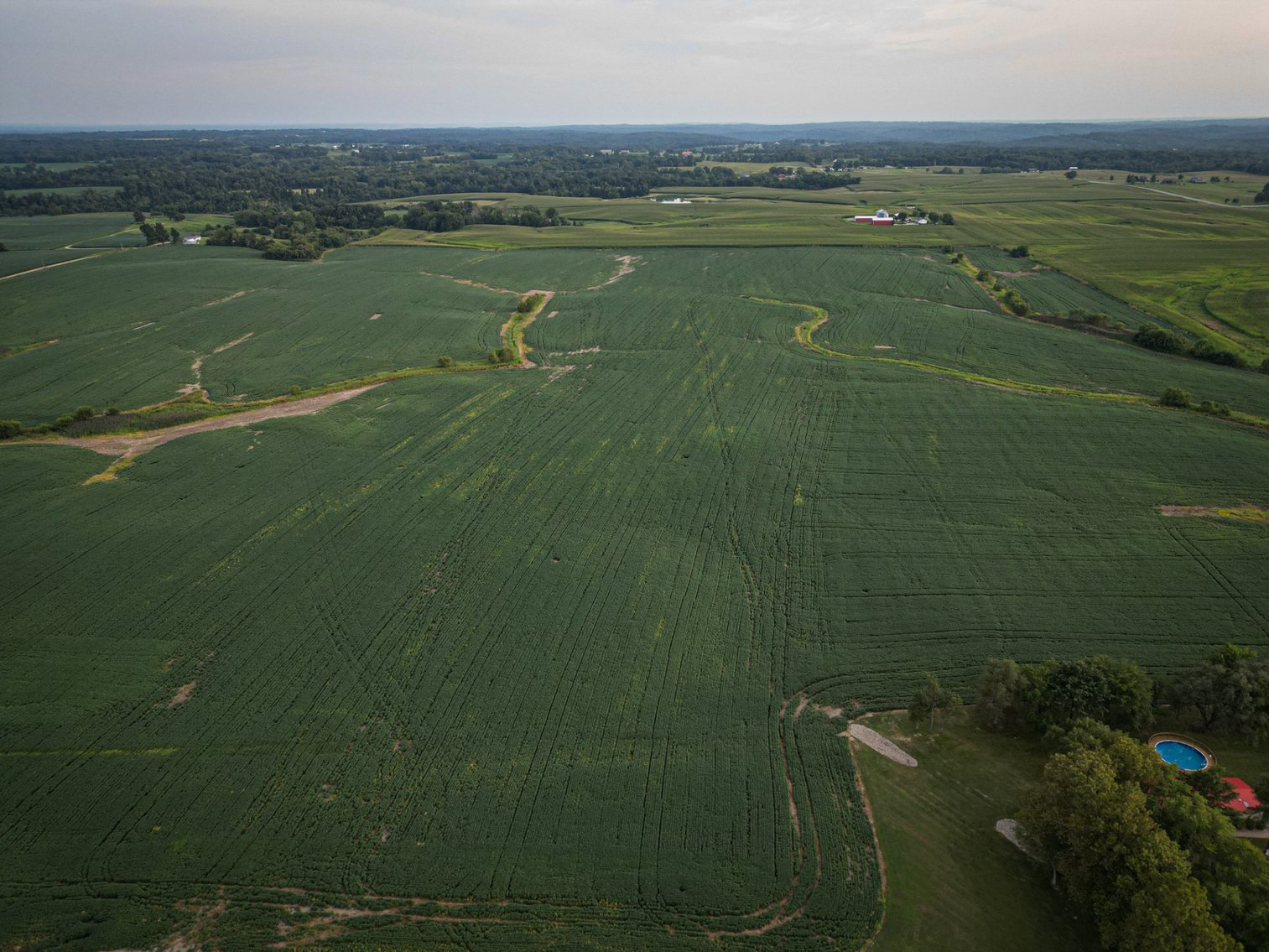 Image for Live & Online Land Auction Ava, IL