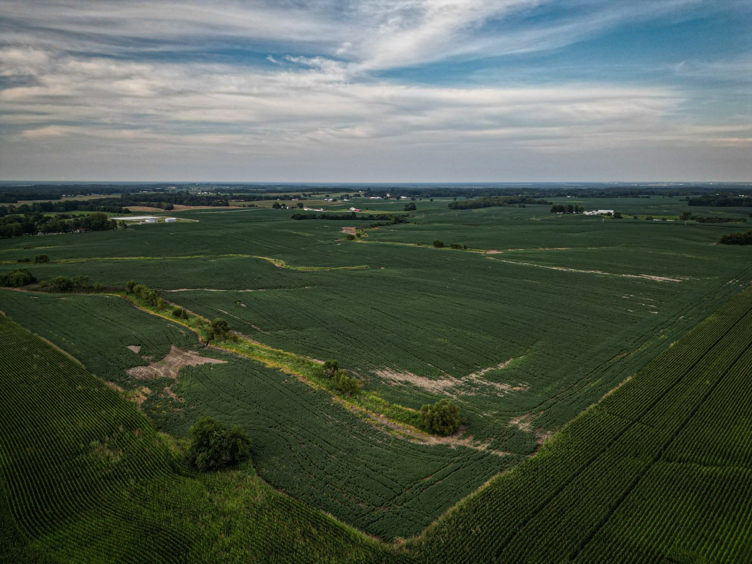 Image for Live & Online Land Auction Ava, IL