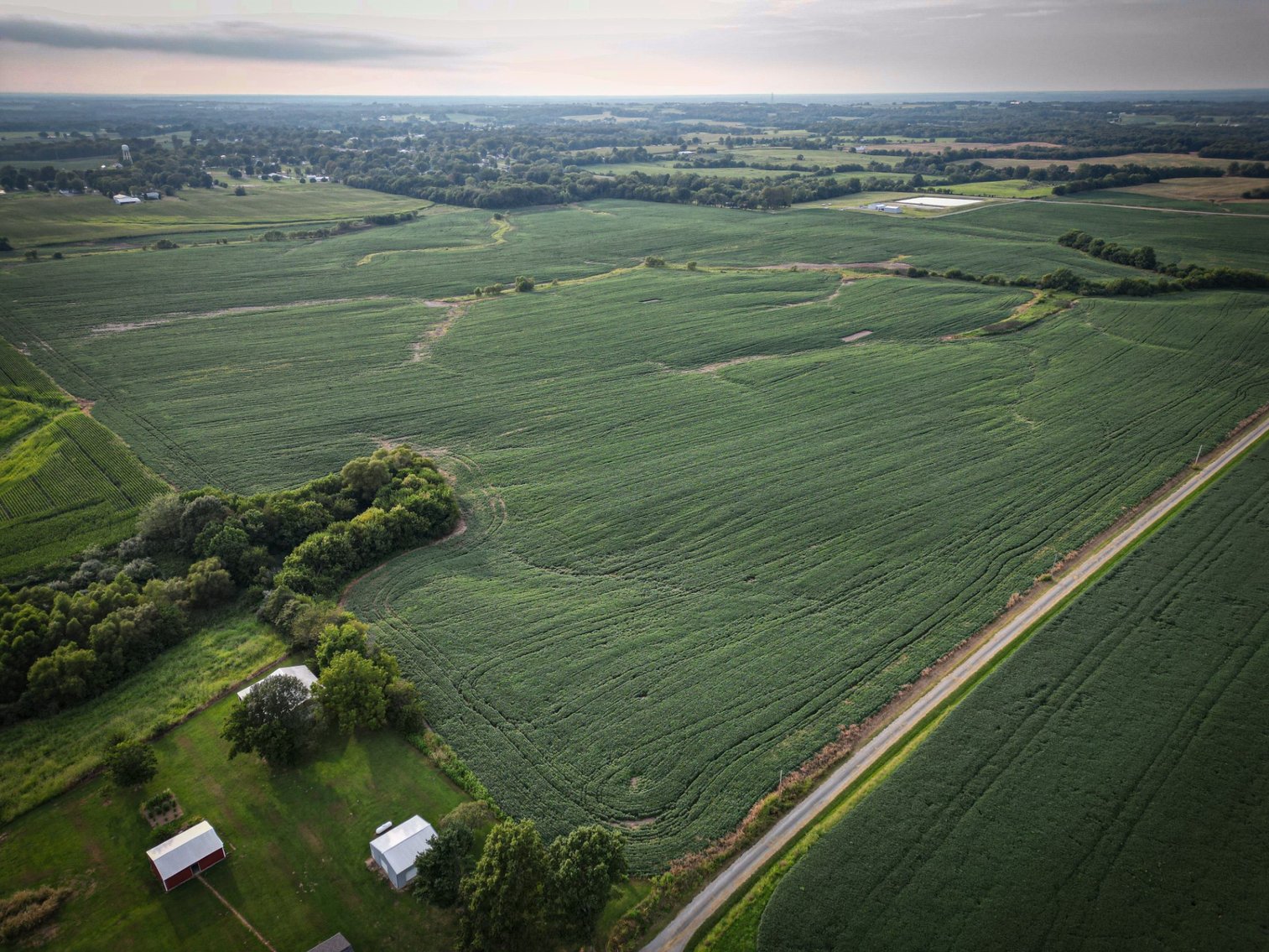 Image for Live & Online Land Auction Ava, IL