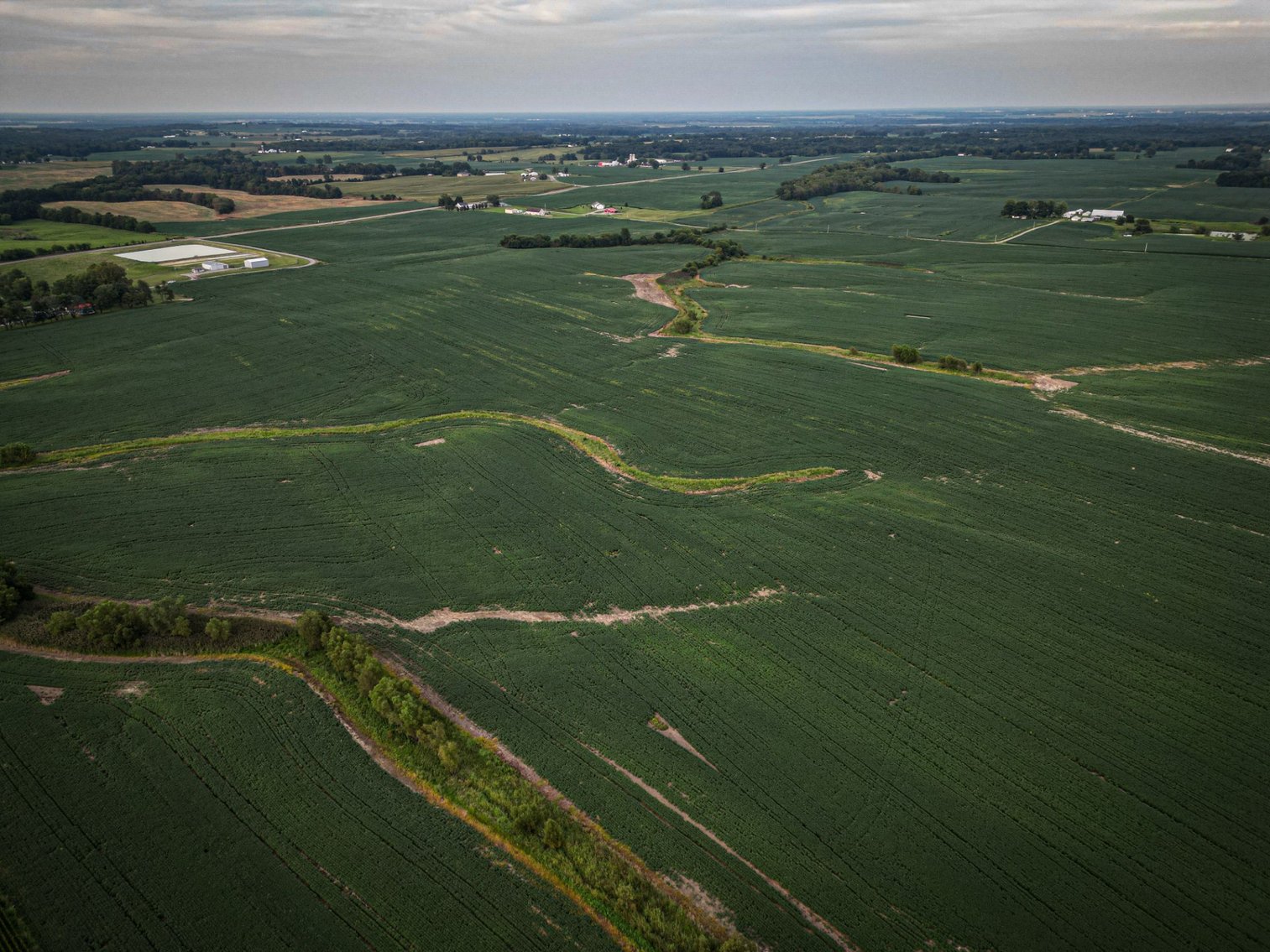 Image for Live & Online Land Auction Ava, IL