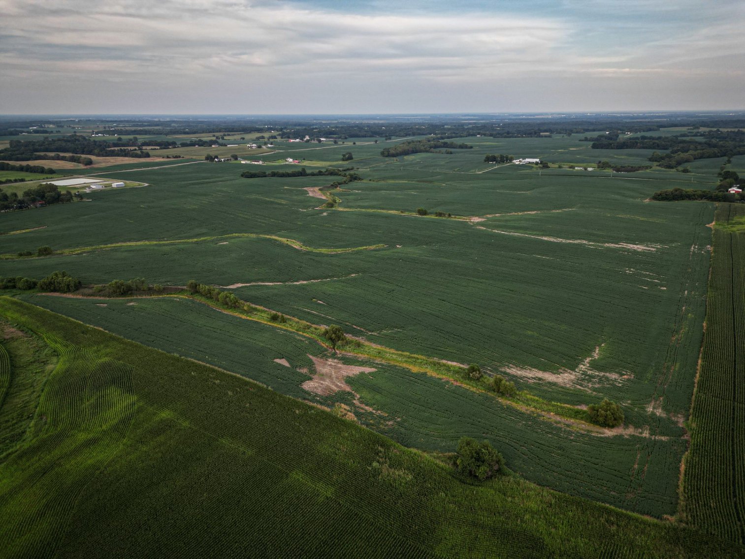 Image for Live & Online Land Auction Ava, IL