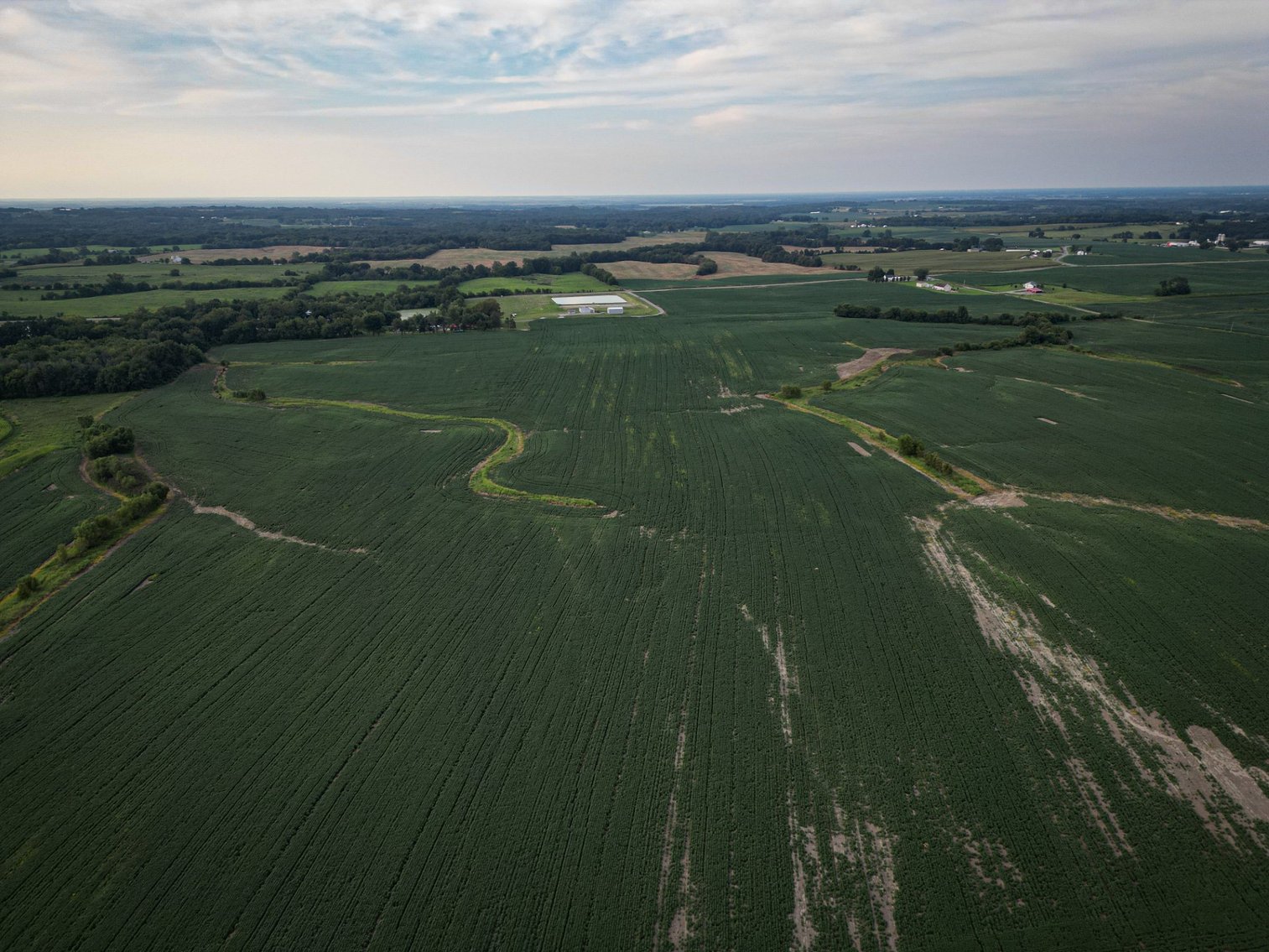 Image for Live & Online Land Auction Ava, IL