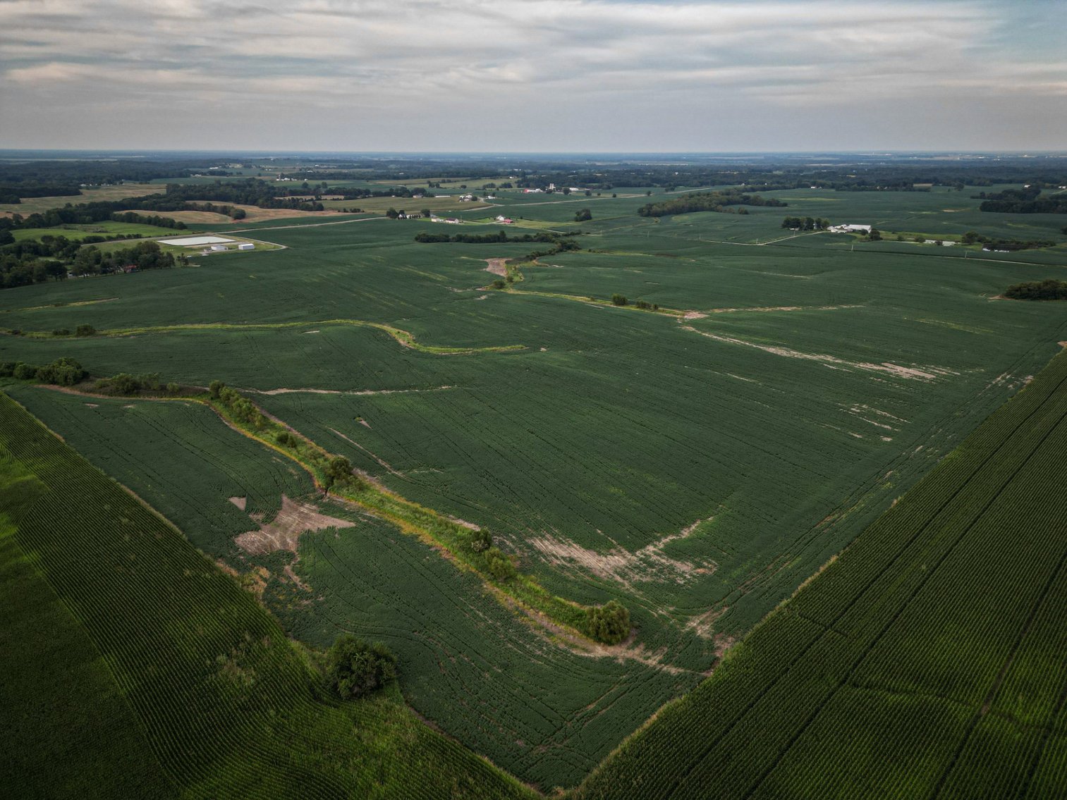 Image for Live & Online Land Auction Ava, IL