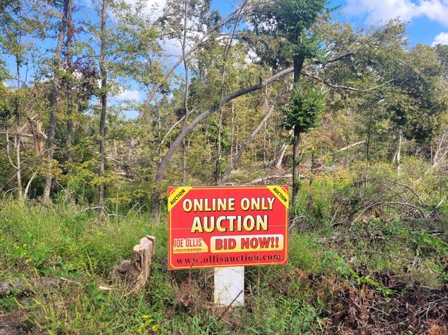 Image for 6 deeded lots - Lake of Egypt Online Only Real Estate Auction