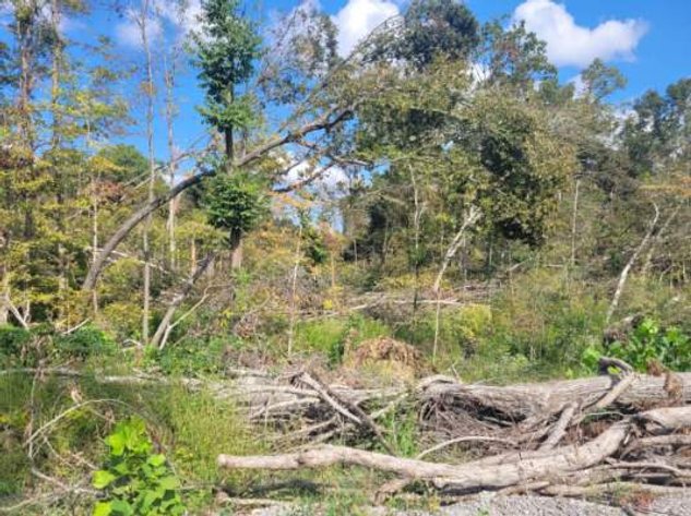 Image for 6 deeded lots - Lake of Egypt Online Only Real Estate Auction