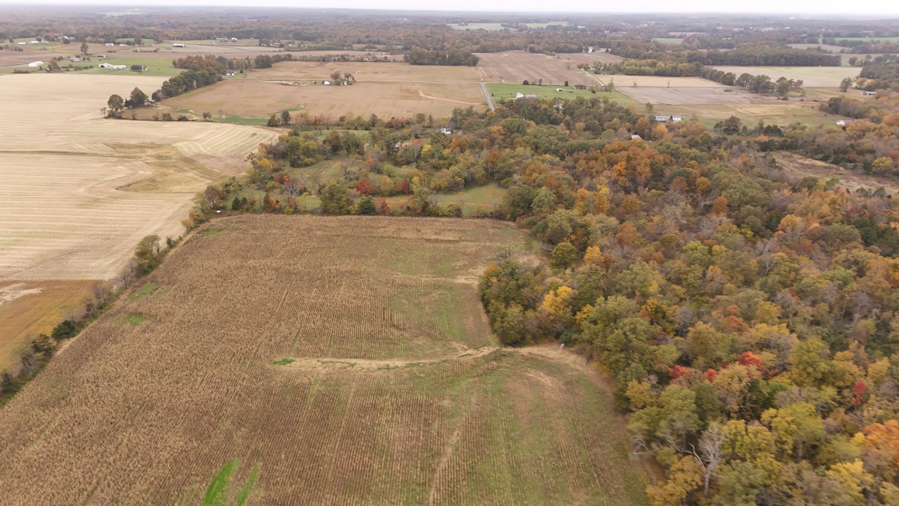 Image for Multi-Use Farm Property with Residence on 115 Acres +/-