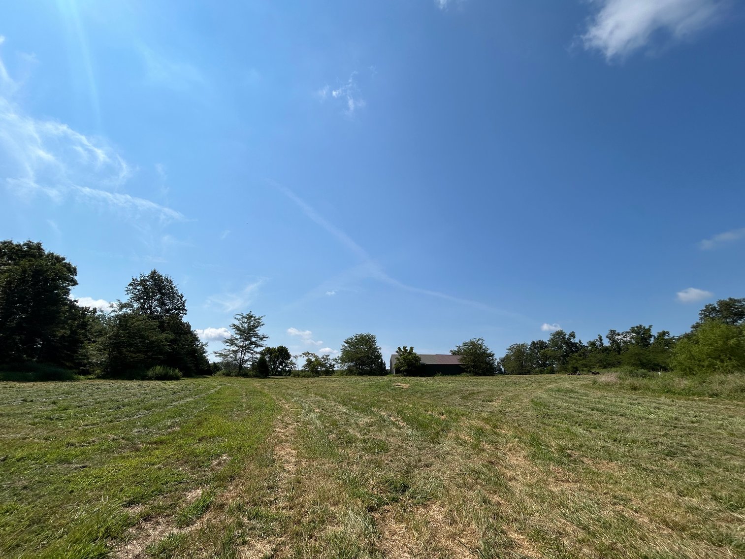 Image for Multi-Use Farm Property with Residence on 115 Acres +/-