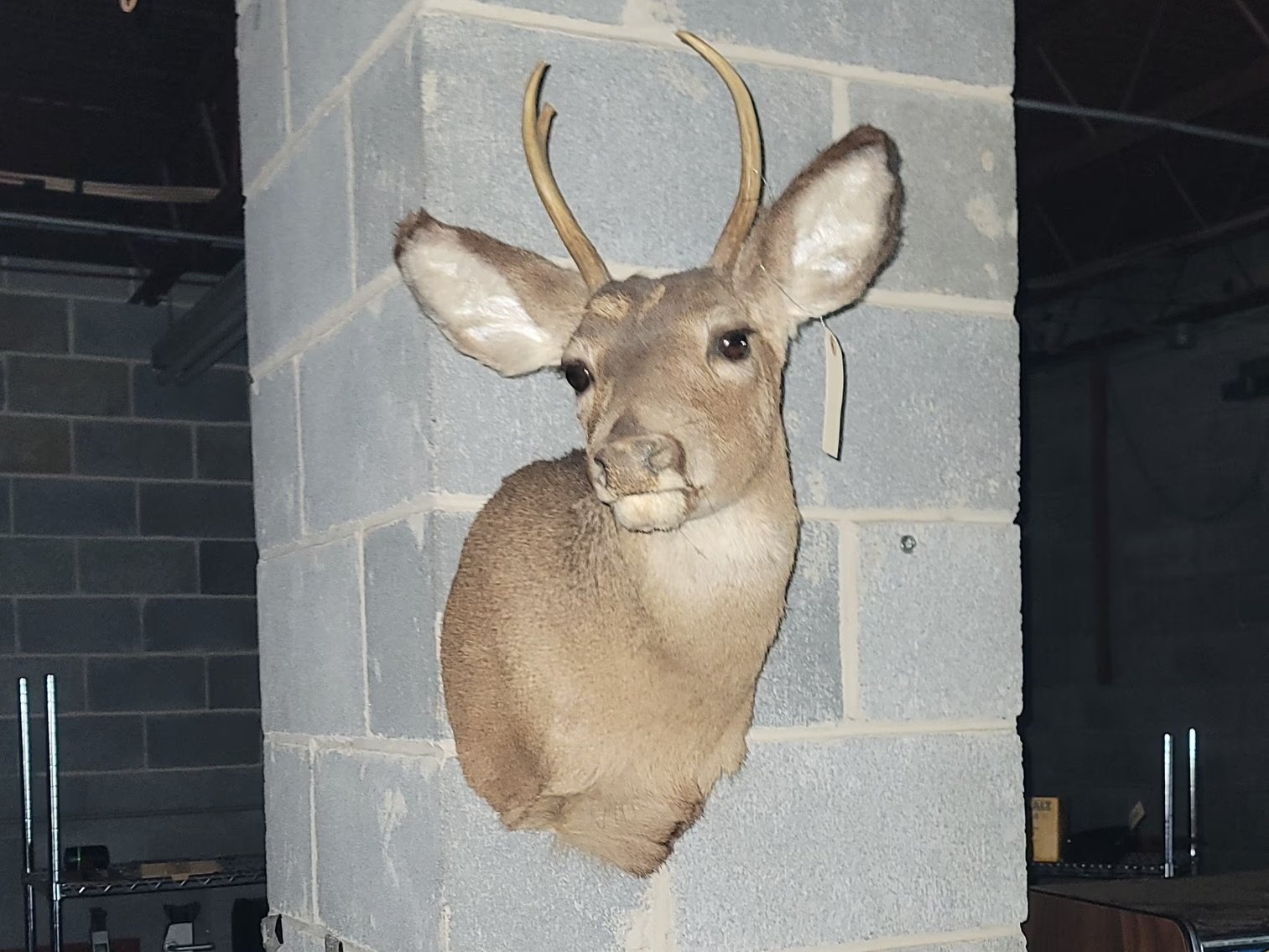 Image for Multi-Estate Auction: Collectibles, Beer Advertisements, Tools, Comics & More - Boyertown, PA