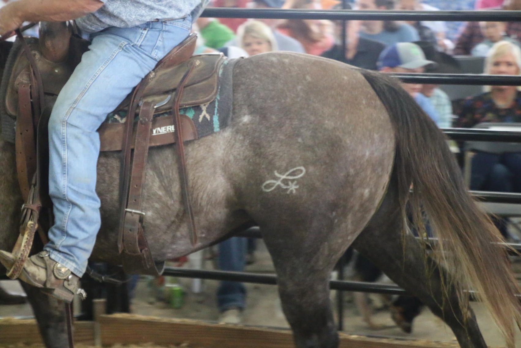Image for Southwest Horse Sale Spring Catalog Sale - SATURDAY March 23rd - Bush, LA