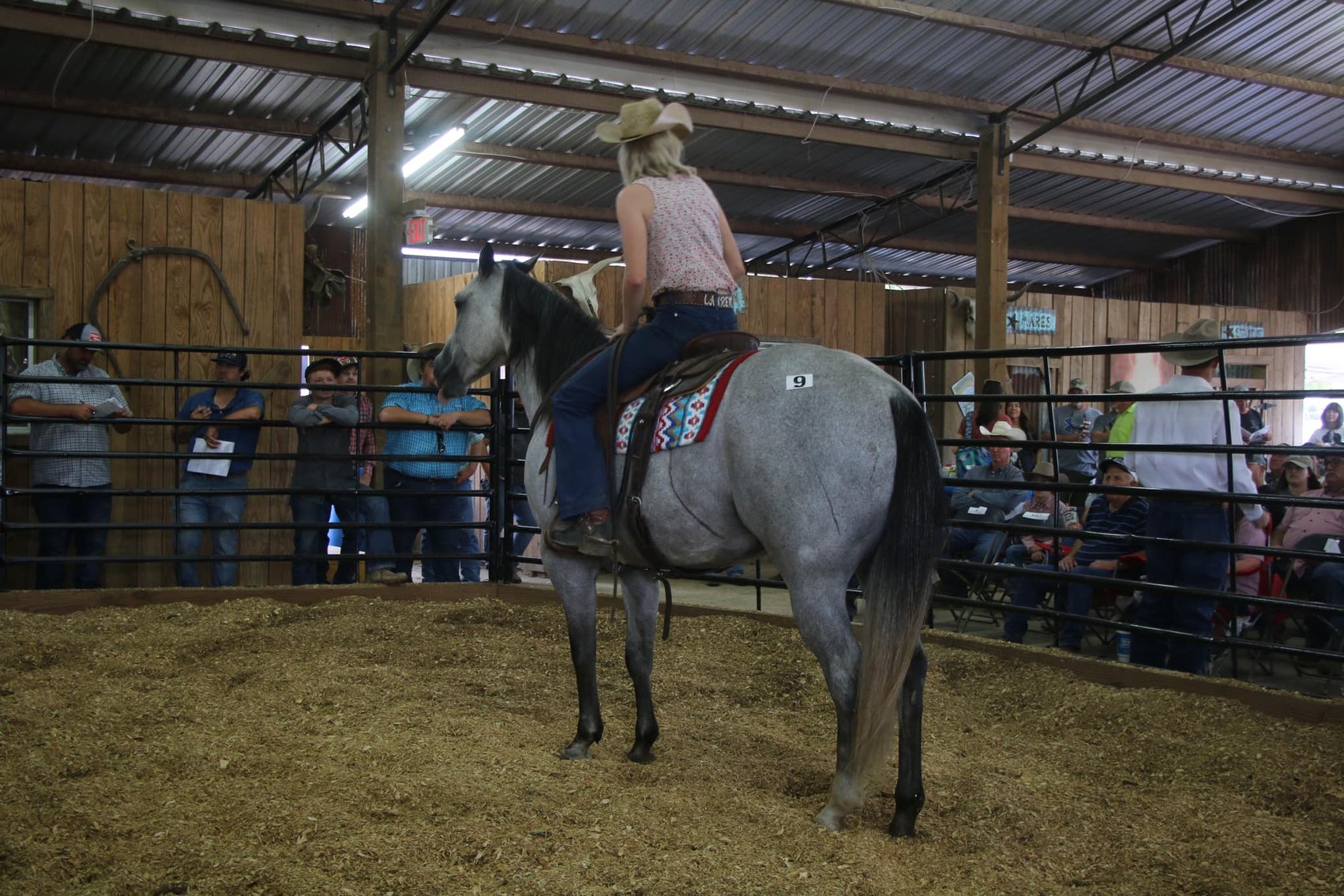 Image for Southwest Horse Sale Spring Catalog Sale - SATURDAY March 23rd - Bush, LA