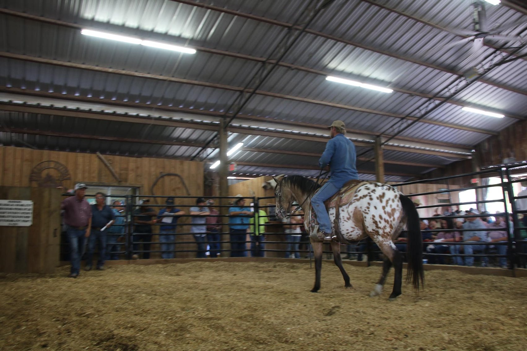 Image for Southwest Horse Sale Spring Catalog Sale - SATURDAY March 23rd - Bush, LA