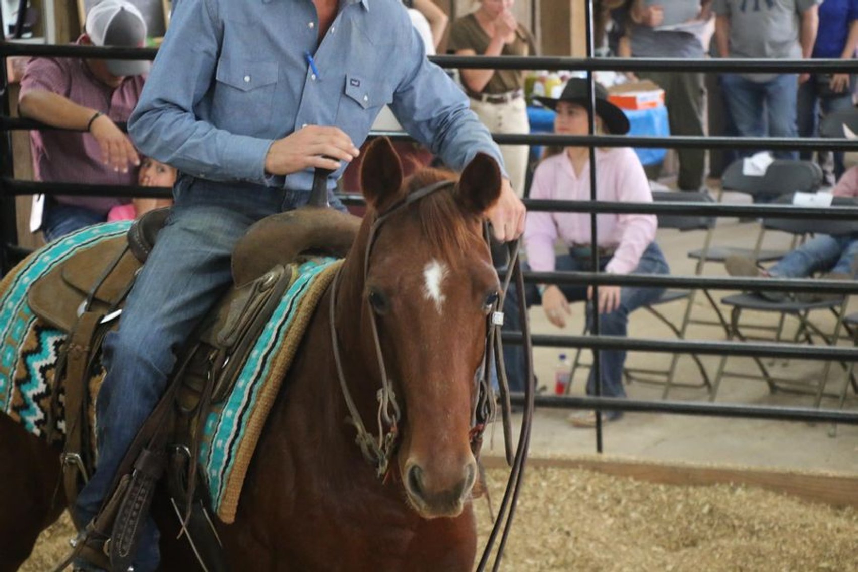 Image for Southwest Horse Sale Spring Catalog Sale - SATURDAY March 23rd - Bush, LA