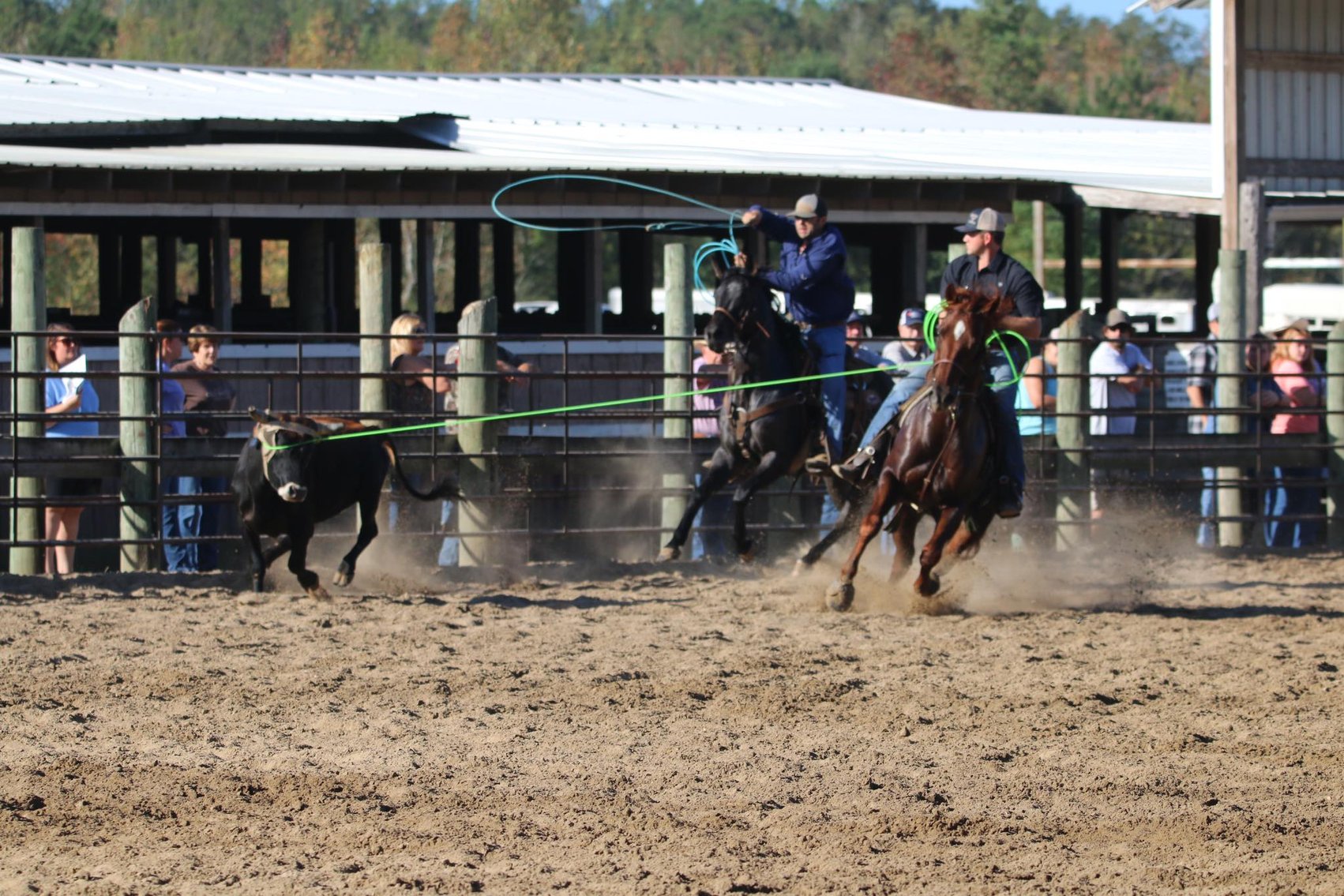 Image for Southwest Horse Sale Spring Catalog Sale - SATURDAY March 23rd - Bush, LA