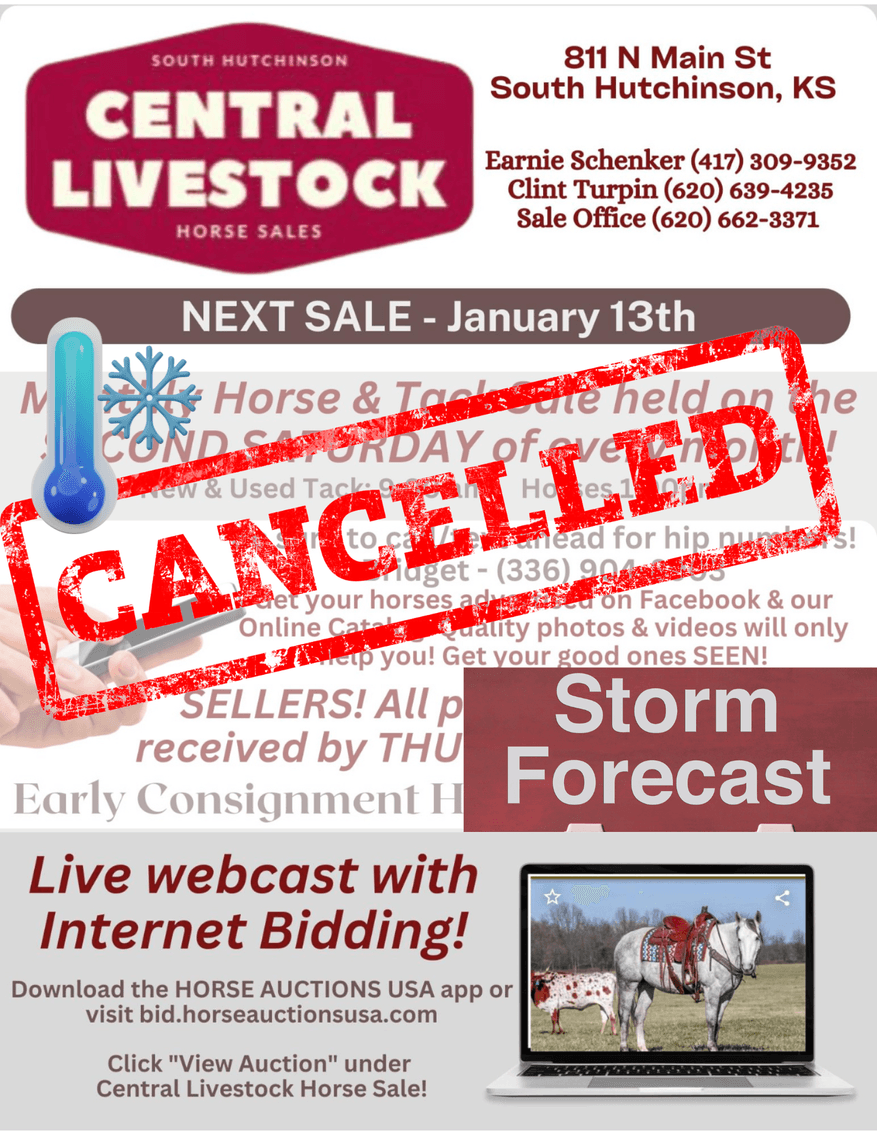 Image for CANCELLED Central Livestock Horse Sale January 13th CANCELLED DUE TO WEATHER