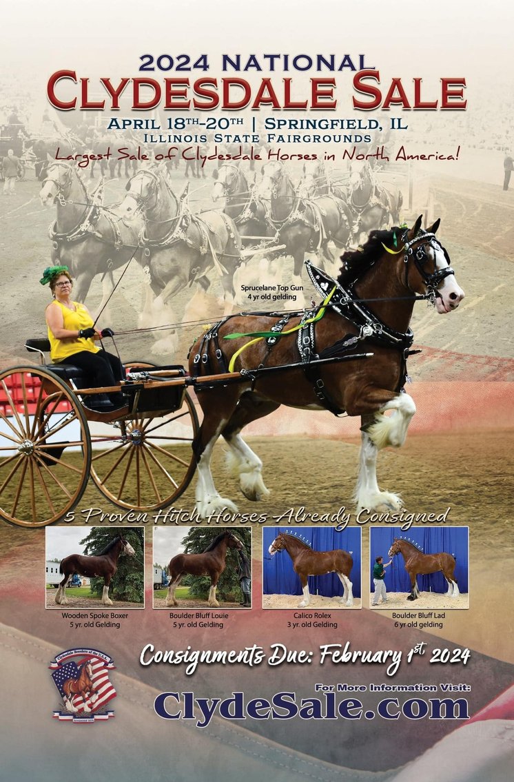 Image for 2024 National Clydesdale Sale - April 20th  Illinois State Fairgrounds