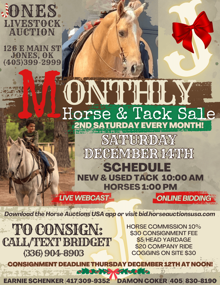 Image for Jones Livestock Auction MONTHLY HORSE & TACK SALE!   Saturday, December 14th!