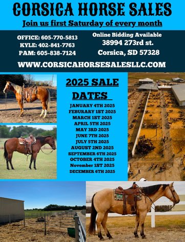 Image for Corsica Horse Sales Catalog Sale - SATURDAY, MARCH 1ST - Corsica, South Dakota