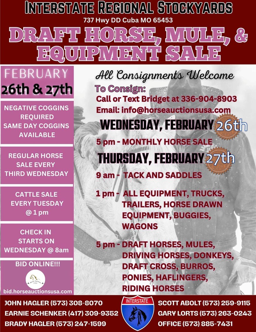 Image for DATE CHANGE Interstate Regional Stockyards TWO DAY FEBRUARY SPECIAL - DAY 1 - WEDNESDAY FEBRUARY 26TH