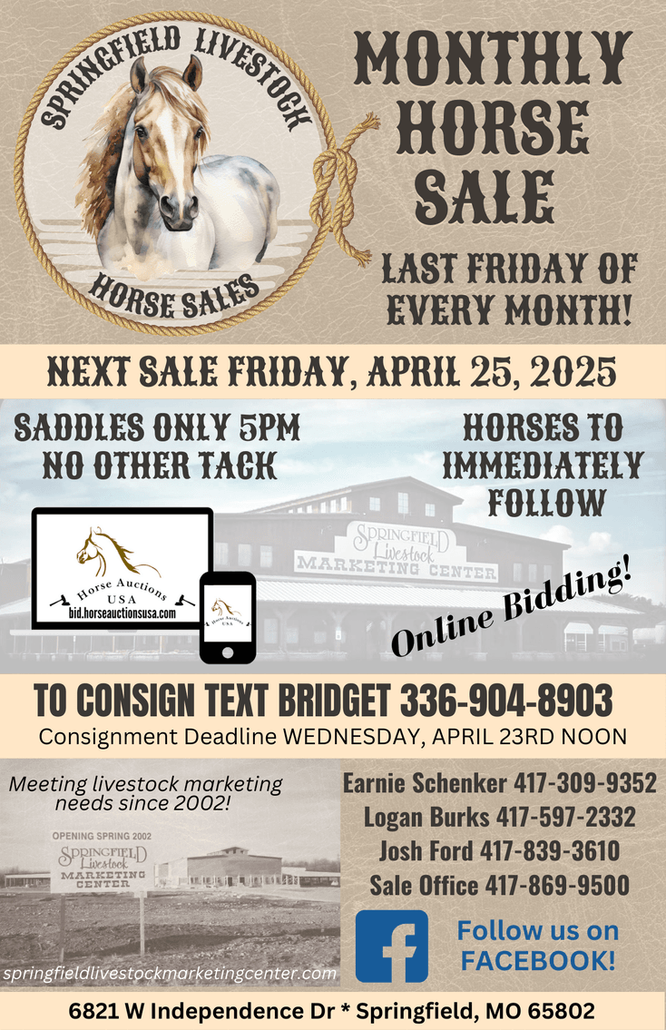 Image for Springfield Livestock Horse Sale FRIDAY APRIL 25TH - Springfield, MO