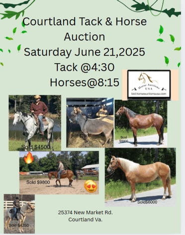 Image for Courtland Tack And Horse Auction Saturday June 21,2025