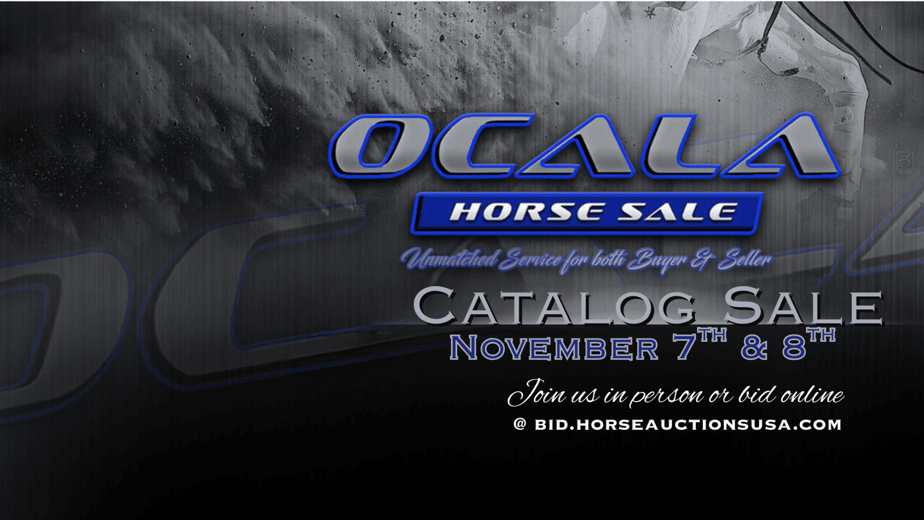 Image for Ocala Horse Sale - Saturday, November 8th - Ocala, Florida
