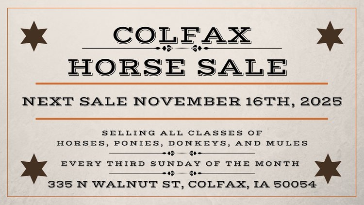 Image for Colfax Horse Sale - SUNDAY, NOVEMBER 16TH - Colfax, Iowa