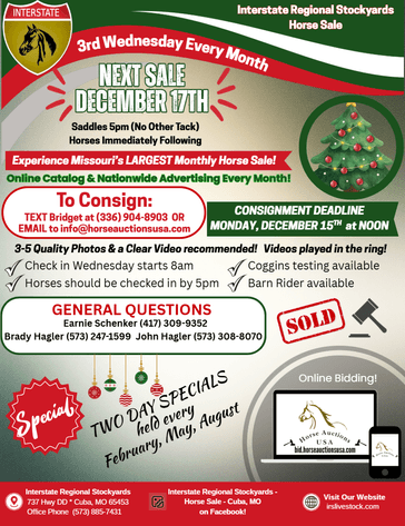 Image for Interstate Regional Stockyards Horse Sale - Cuba, Missouri WEDNESDAY DECEMBER 17TH