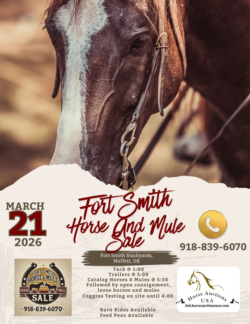 Image for Fort Smith Horse & Mule Sale - SATURDAY, MARCH 21ST - Moffett, Oklahoma