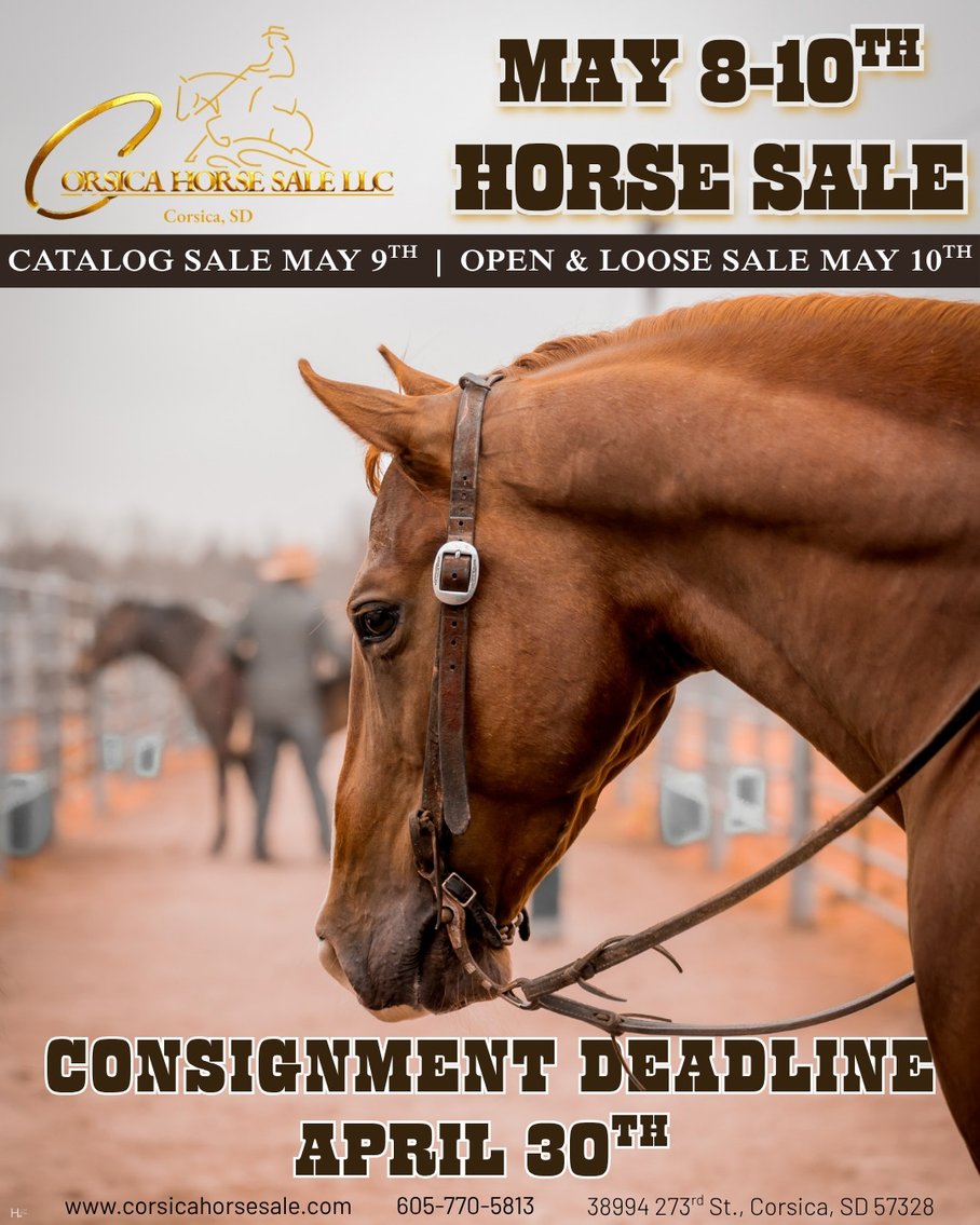 Image for Corsica Horse Sale Two Day May Horse Sale - DAY ONE - SATURDAY, MAY 9TH - Corsica, South Dakota