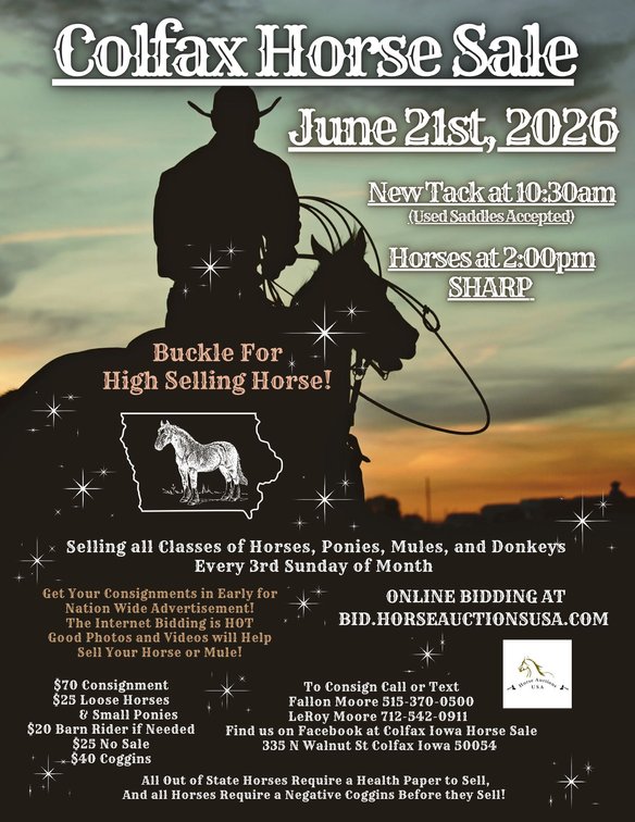 Image for Colfax Horse Sale  - SUNDAY, JUNE 21ST - Colfax, Iowa