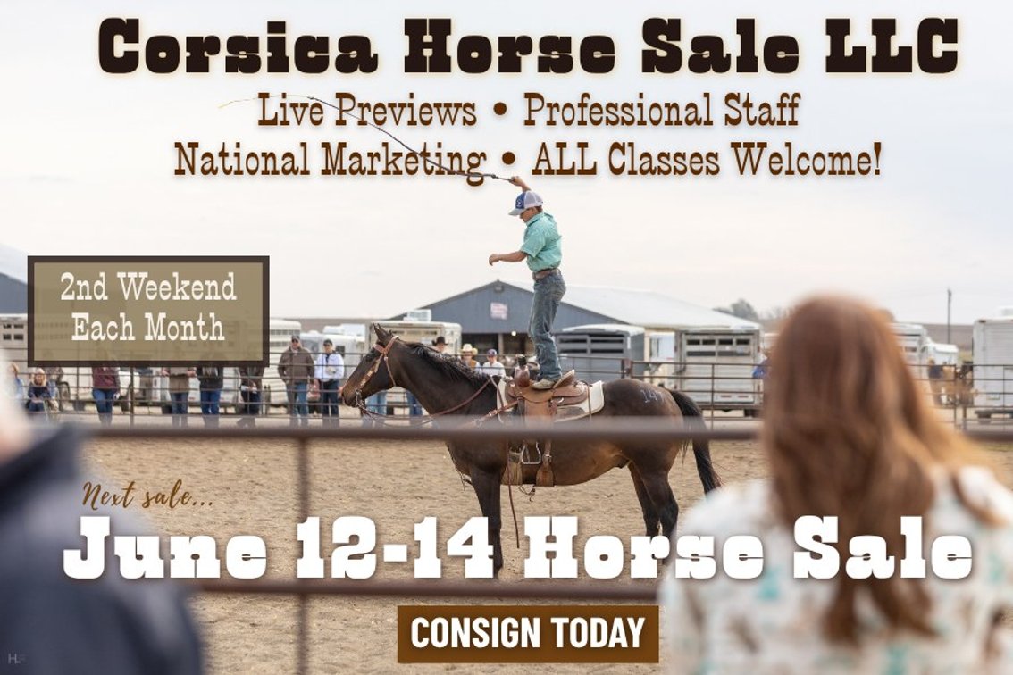 Image for Corsica Horse Sale Two Day June Horse Sale - DAY ONE - SATURDAY, JUNE 13TH - Corsica, South Dakota