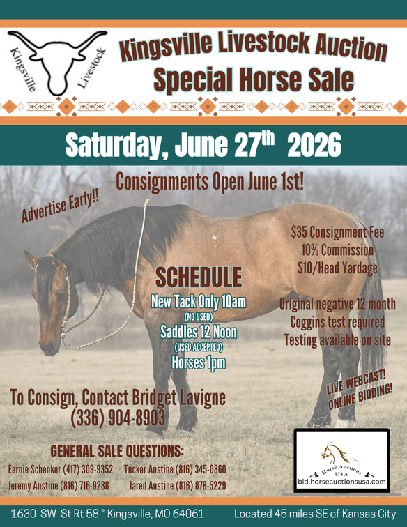 Image for Kingsville Livestock Auction Special Horse Sale - SATURDAY, JUNE 27TH - Kingsville, MO