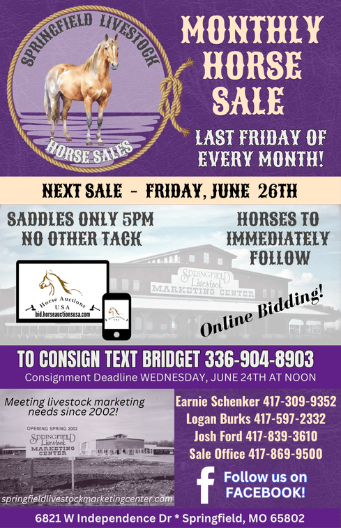 Image for Springfield Livestock Horse Sale FRIDAY JUNE 26TH - Springfield, MO