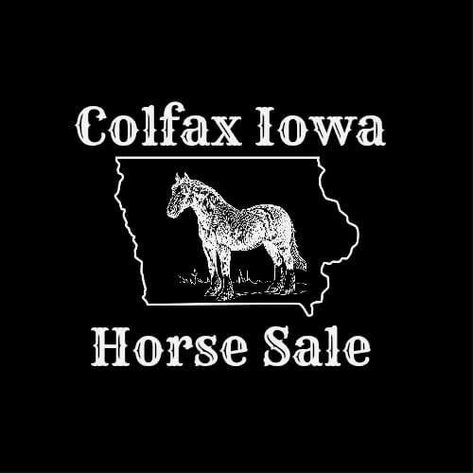 Image for Colfax Horse Sale  - SUNDAY, AUGUST 16TH - Colfax, Iowa