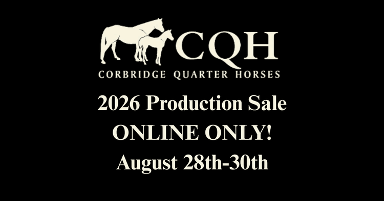 Image for Corbridge Quarter Horses Annual Production Sale - ONLINE ONLY!!!  Runs August 28th through August 30th!