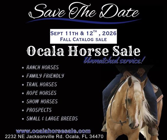 Image for Ocala Horse Sale - Saturday, September 12th - Ocala, Florida