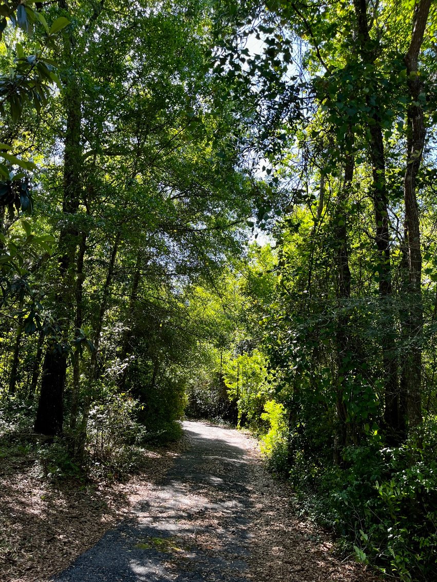 Image for 5977 Born Drive - Russ Swinney Estate