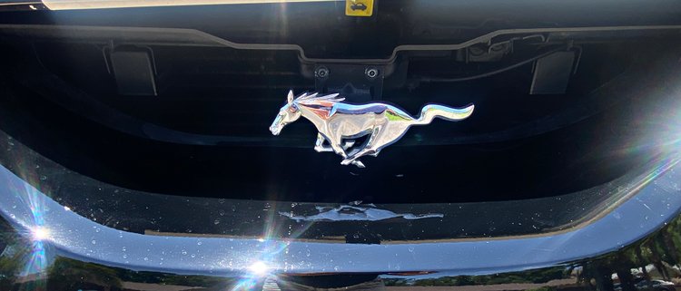 Image for 1997 Mustang GT