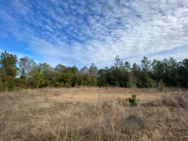 Image for 3.14 Acres Langley St. Milton FL