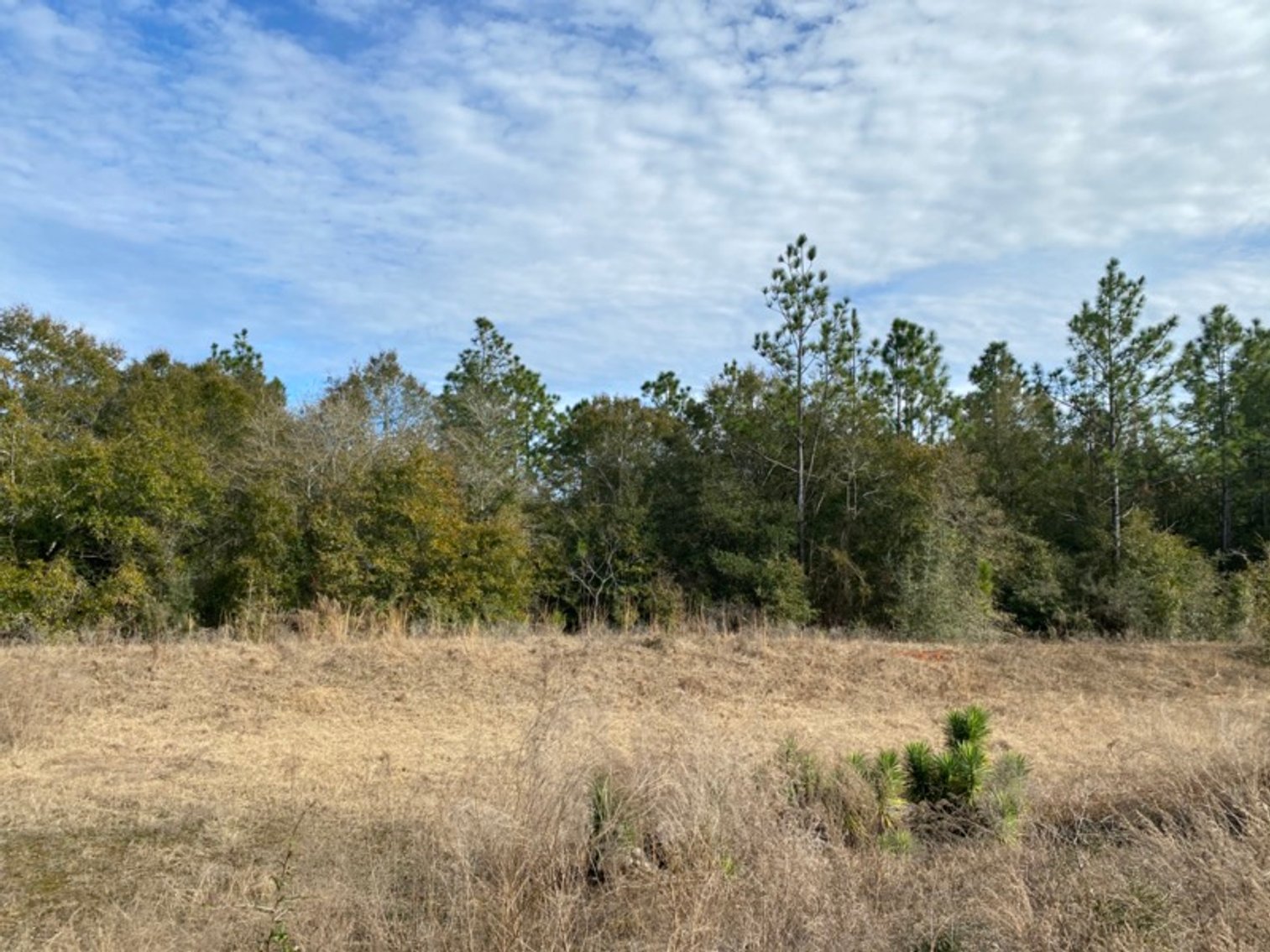 Image for 3.14 Acres Langley St. Milton FL