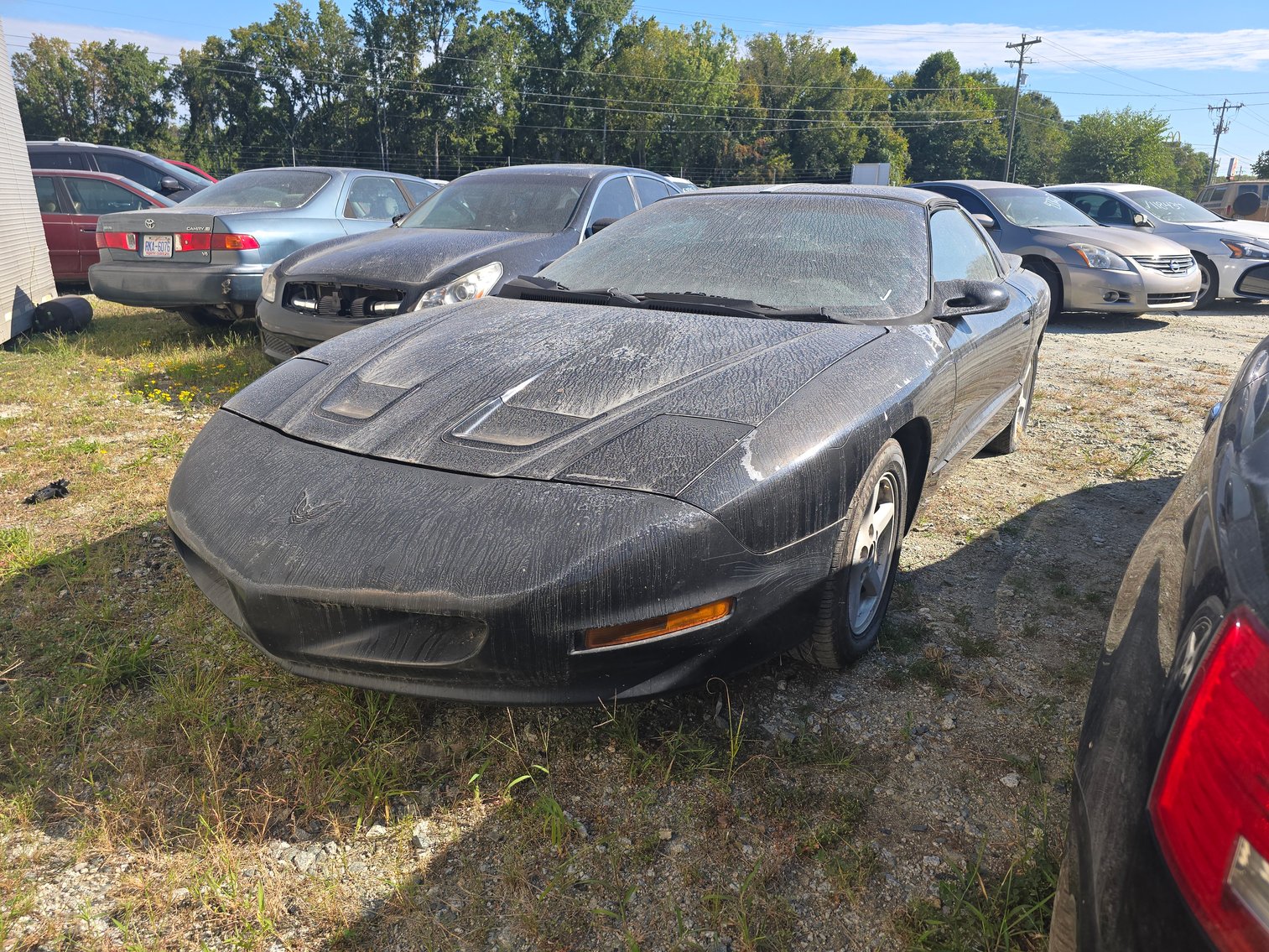 Image for September 2025 Impound Auction