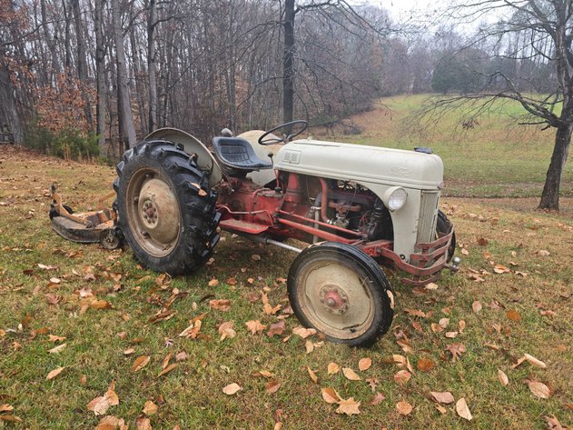 Image for Noah Estate