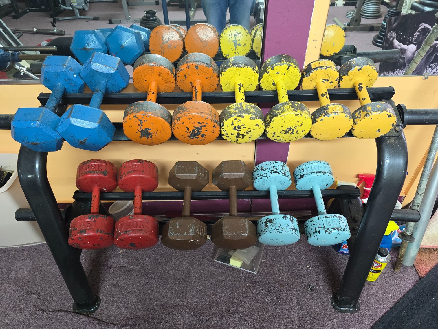 Image for Noah Estate